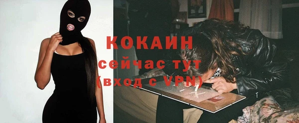 spice Дмитриев