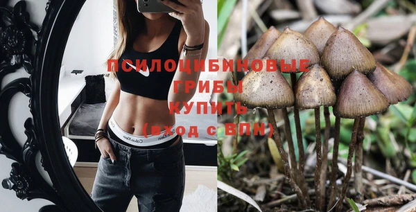 кокс Белокуриха