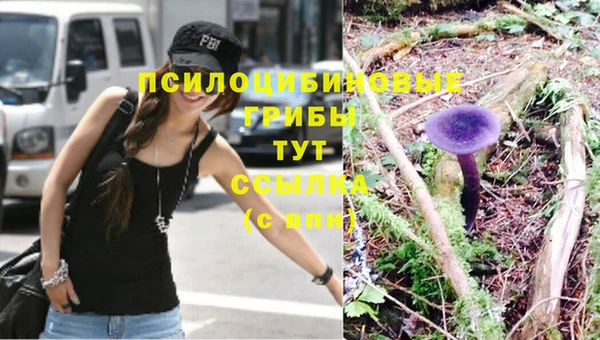 мет Козловка